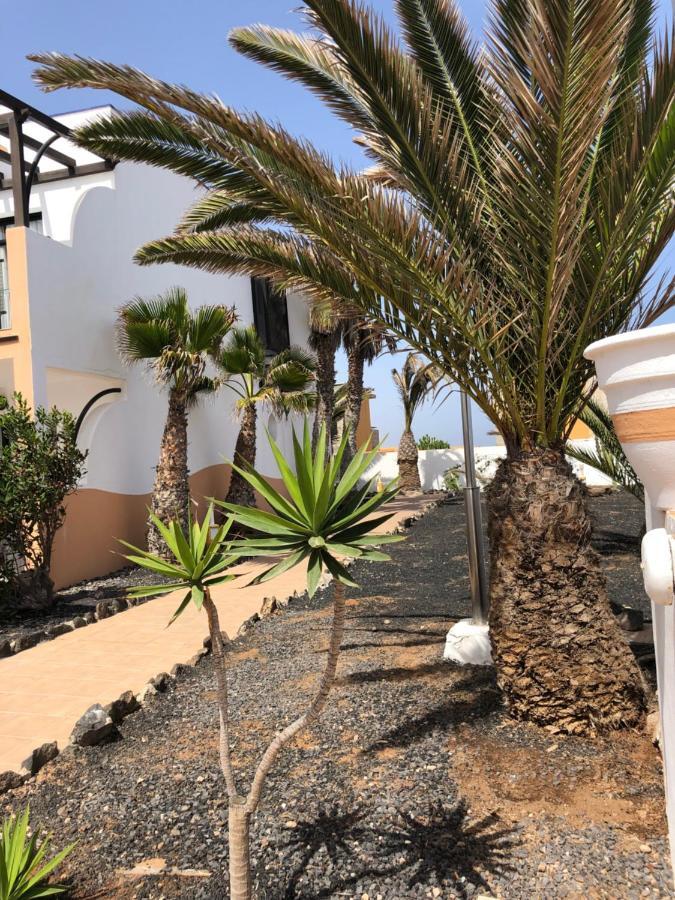 Apartamento Life Complex Amaya Fuerteventura Costa De Antigua Eksteriør bilde